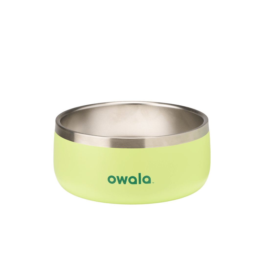 Pet Bowl 3-cup, lime green exterior with stainless steel interior