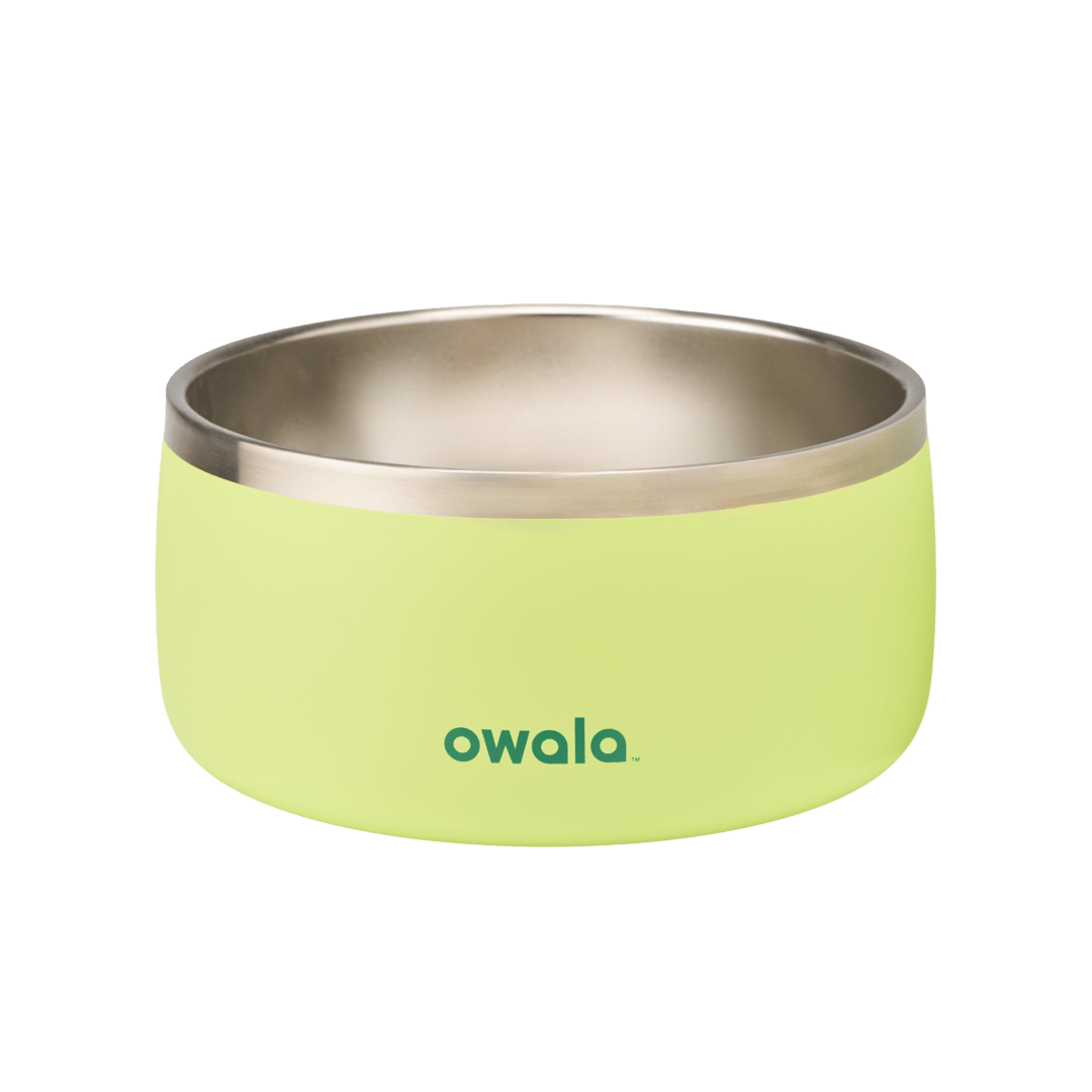 Pet Bowl 6-cup in Sweet Treat; matte lime green cup exterior with stainless steel interior rim and dark green Owala logo on front