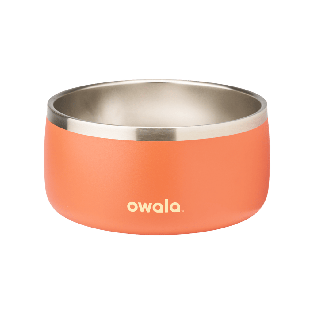 Pet Bowl 6-cup