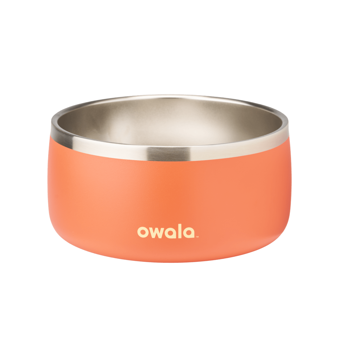 Pet Bowl 6-cup, coral orange exterior with stainless steel interior; wider bowl