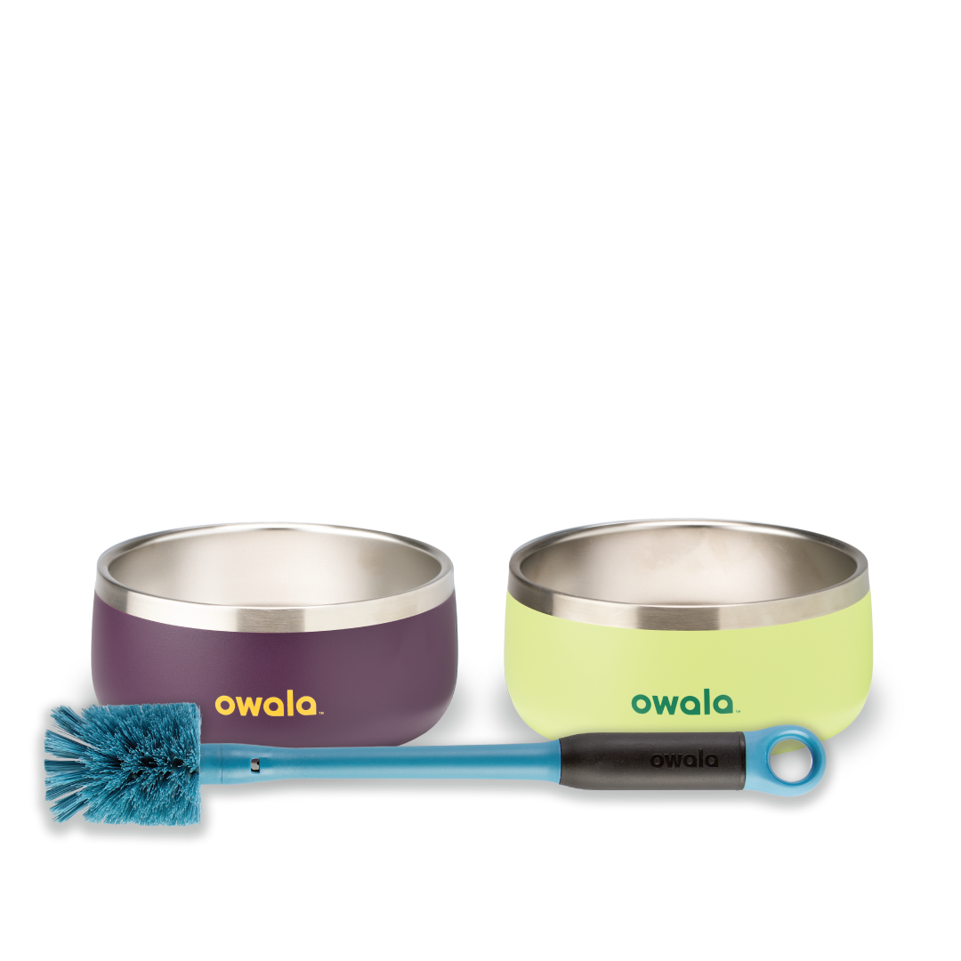 Owala Pet Bowl Bundle showing two stainless steel pet bowls — one deep purple with yellow Owala logo and one lime green with yellow Owala logo — alongside a teal-handled bottle brush with blue bristles
