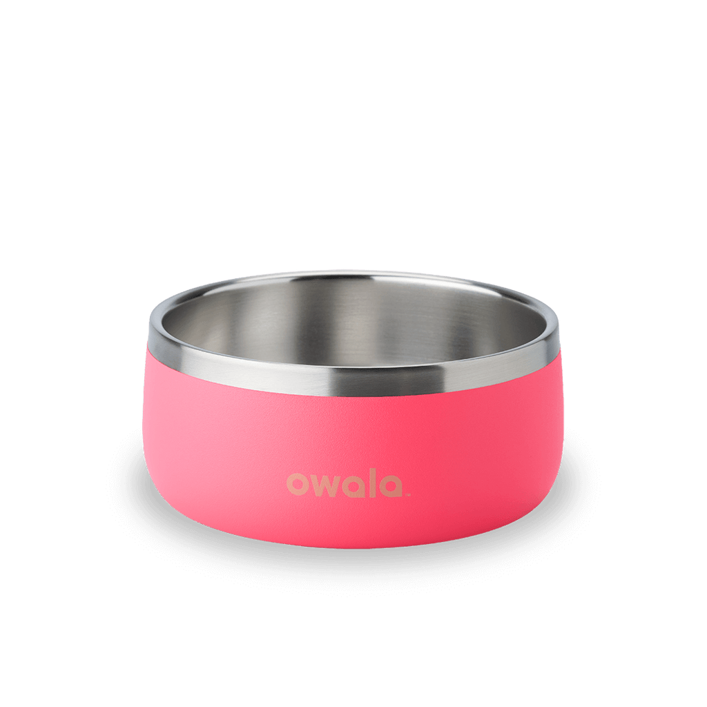 Pet Bowl 24oz Hyper Flamingo