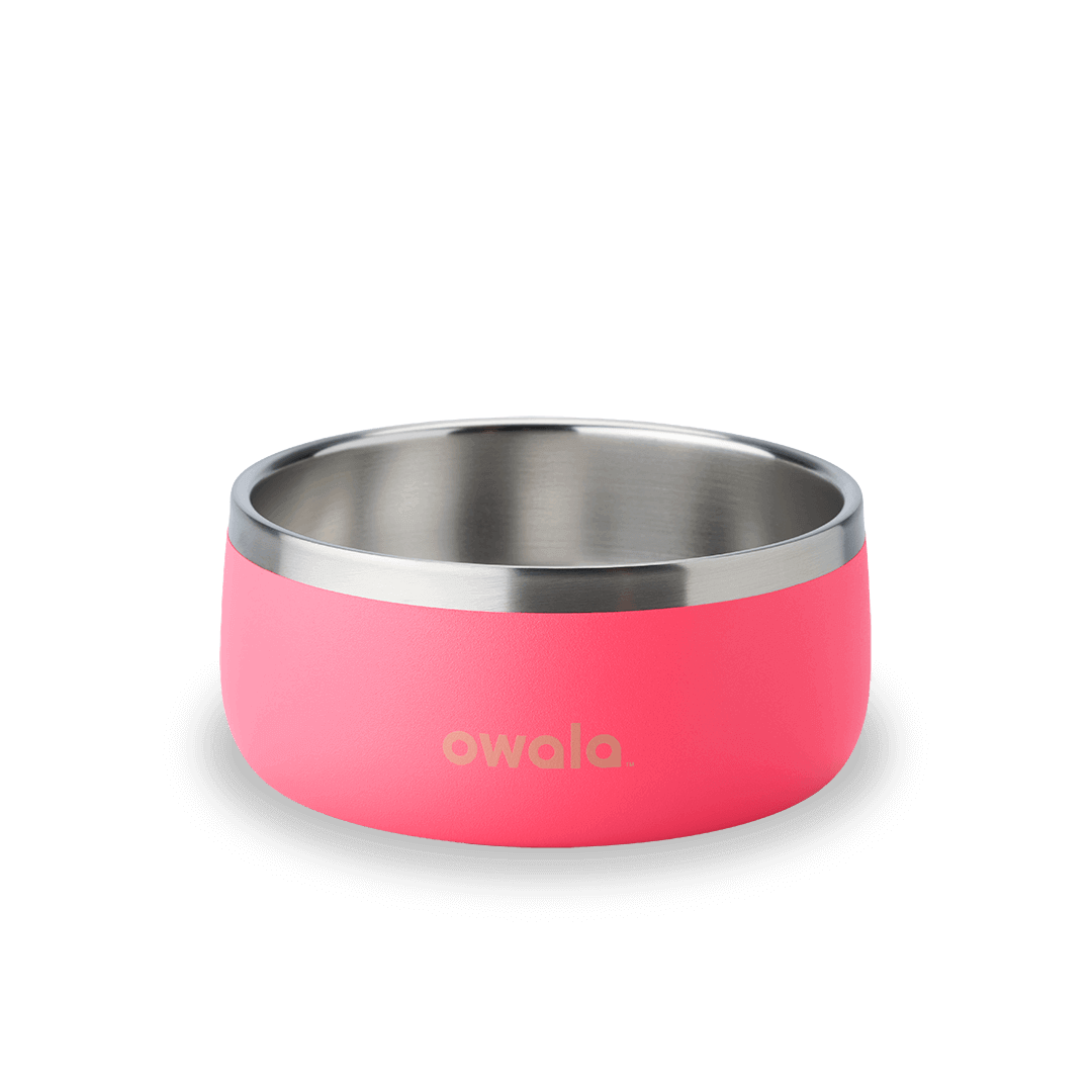 Pet Bowl 3-cup in Hyper Flamingo; matte hot pink cup exterior with stainless steel interior rim and tan Owala logo on front
