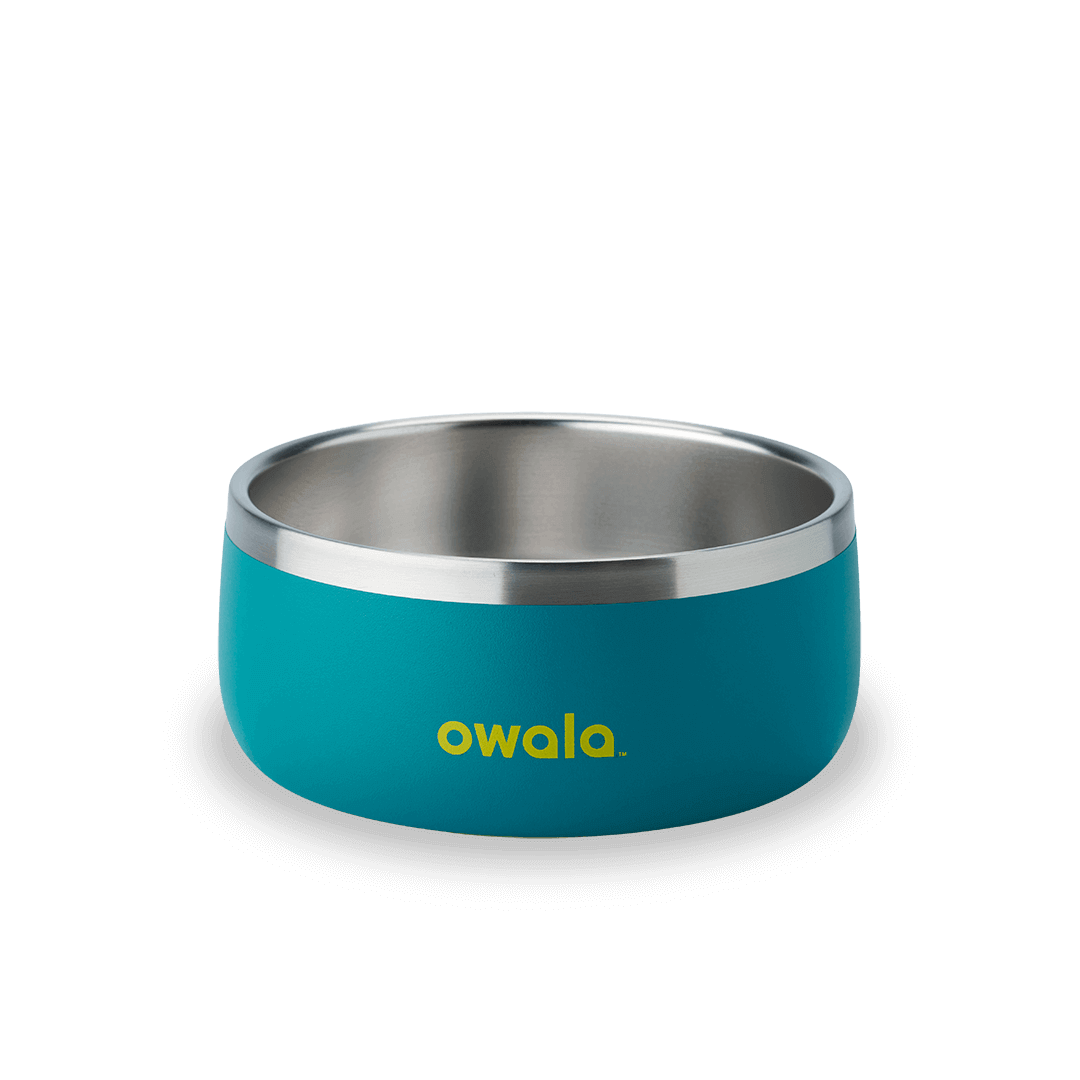 Pet Bowl 3-cup in Turquoise and Caicos; matte teal cup exterior with stainless steel interior rim and yellow Owala logo on front