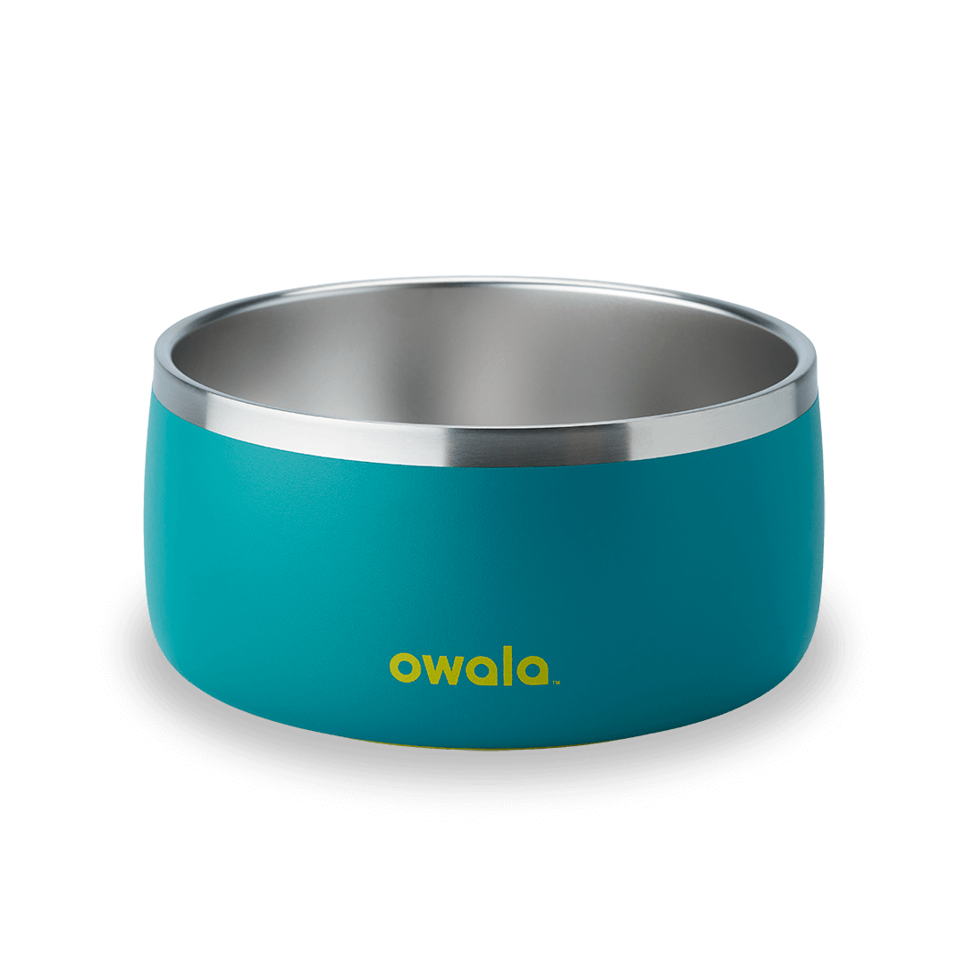 Pet Bowl 48oz Turquoise & Caicos